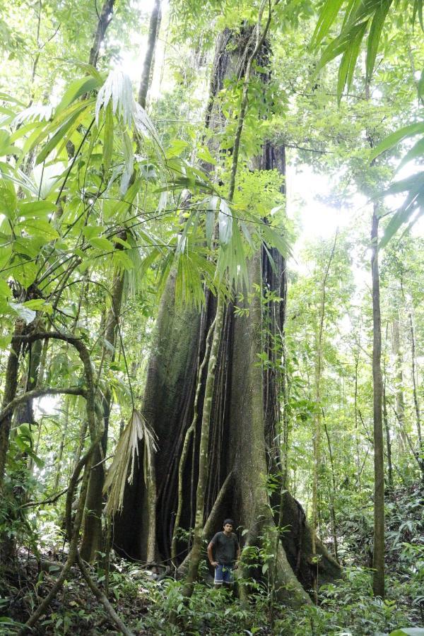 Finca Sueno De Osa Puerto Jiménez Dış mekan fotoğraf