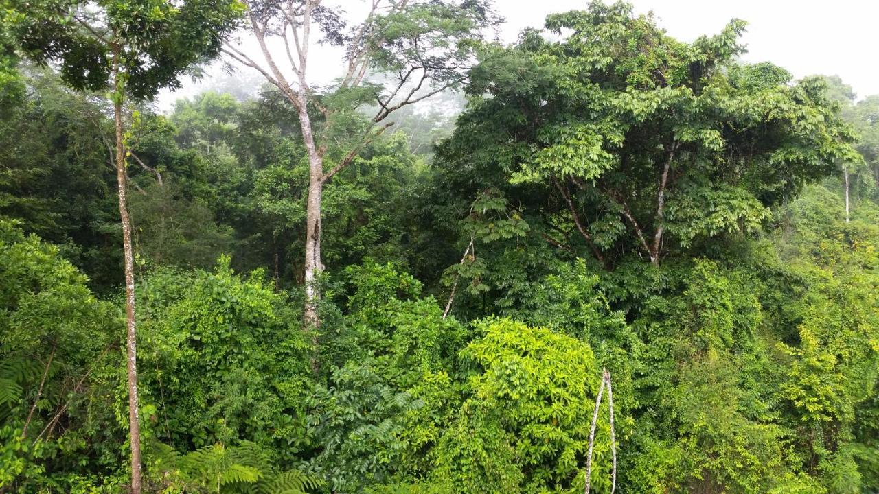 Finca Sueno De Osa Puerto Jiménez Dış mekan fotoğraf