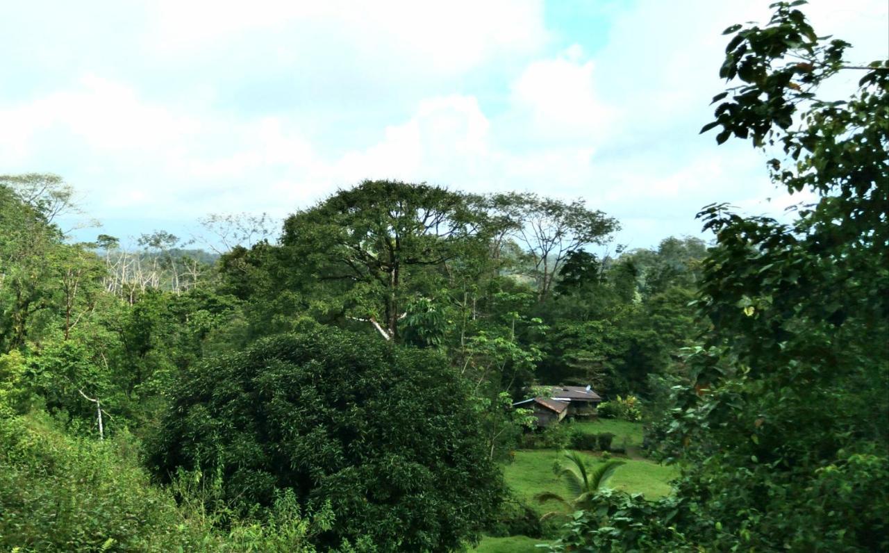 Finca Sueno De Osa Puerto Jiménez Dış mekan fotoğraf
