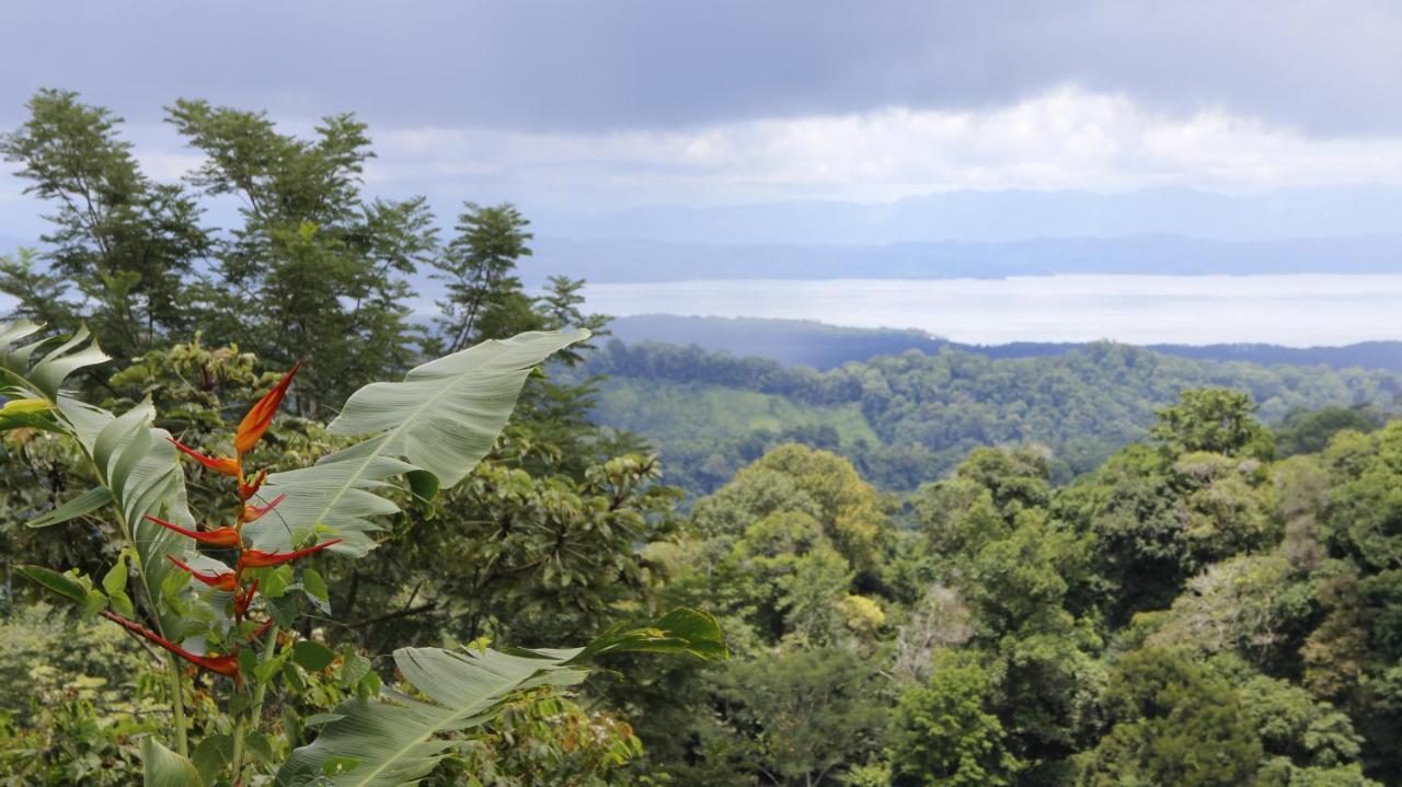 Finca Sueno De Osa Puerto Jiménez Dış mekan fotoğraf