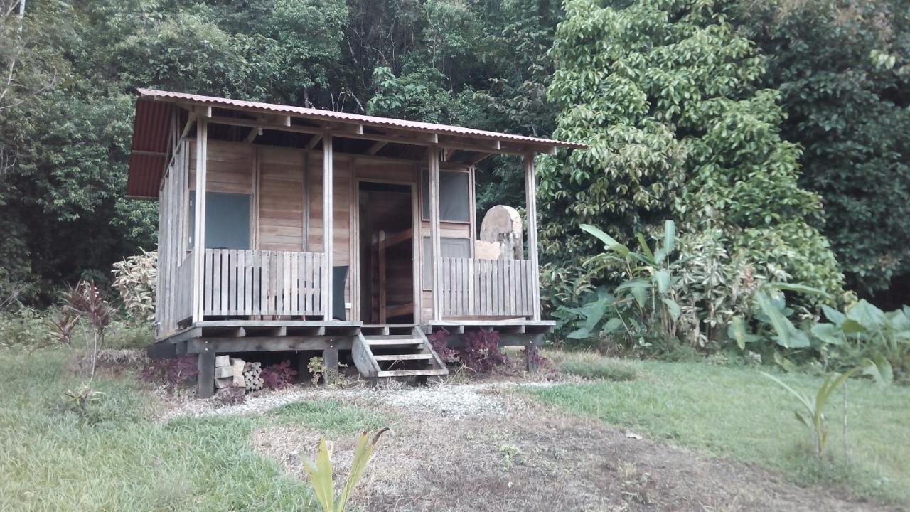 Finca Sueno De Osa Puerto Jiménez Dış mekan fotoğraf